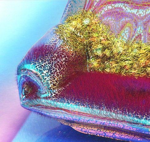 MAXIMUM GLAMのイメージカット